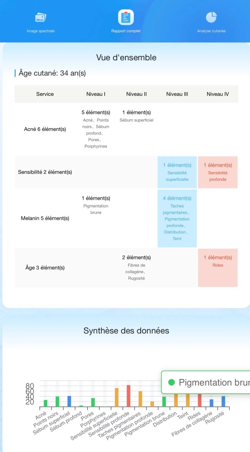 Rapport LUNASKIN — Vue d’ensemble